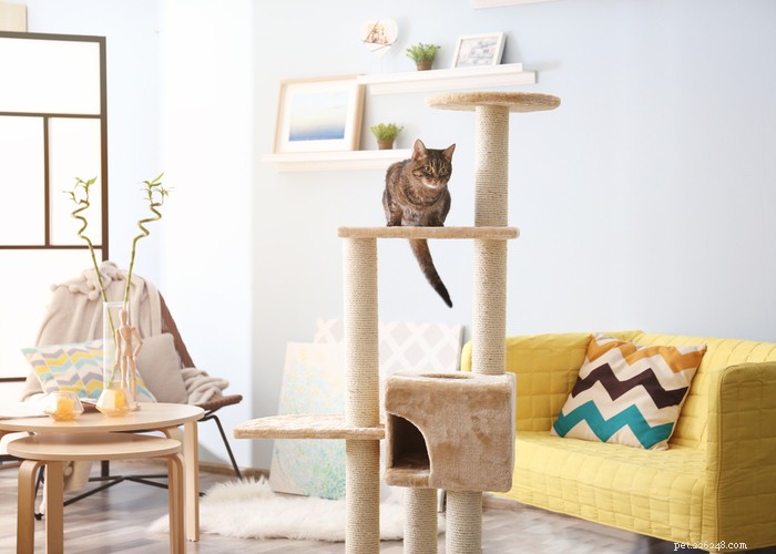 Best Cat Trees 2023: Expert Guide & Top Picks for Happy, Healthy Cats