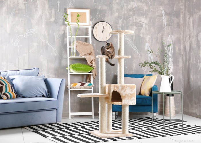 Best Cat Trees 2023: Expert Guide & Top Picks for Happy, Healthy Cats