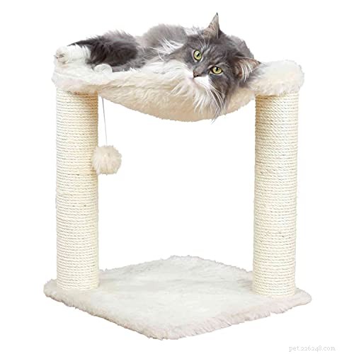 Best Cat Trees 2023: Expert Guide & Top Picks for Happy, Healthy Cats