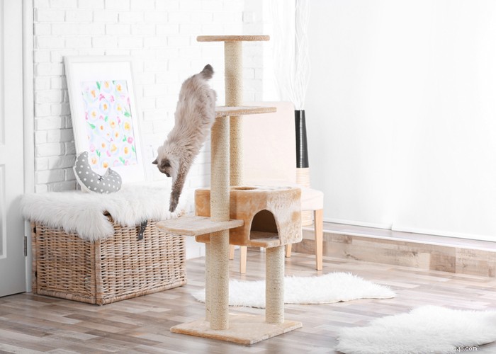 Best Cat Trees 2023: Expert Guide & Top Picks for Happy, Healthy Cats