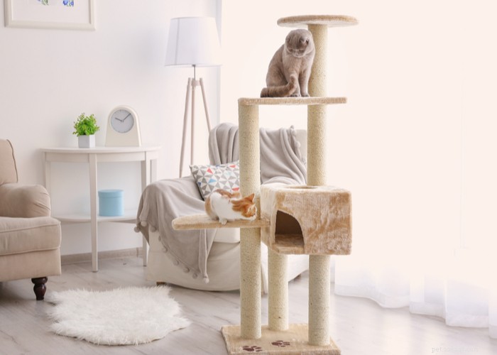 Best Cat Trees 2023: Expert Guide & Top Picks for Happy, Healthy Cats