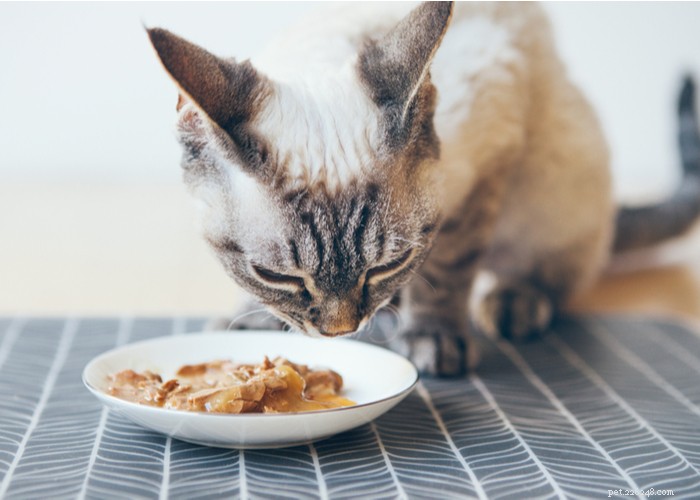 What Only Cat Owners Truly Understand