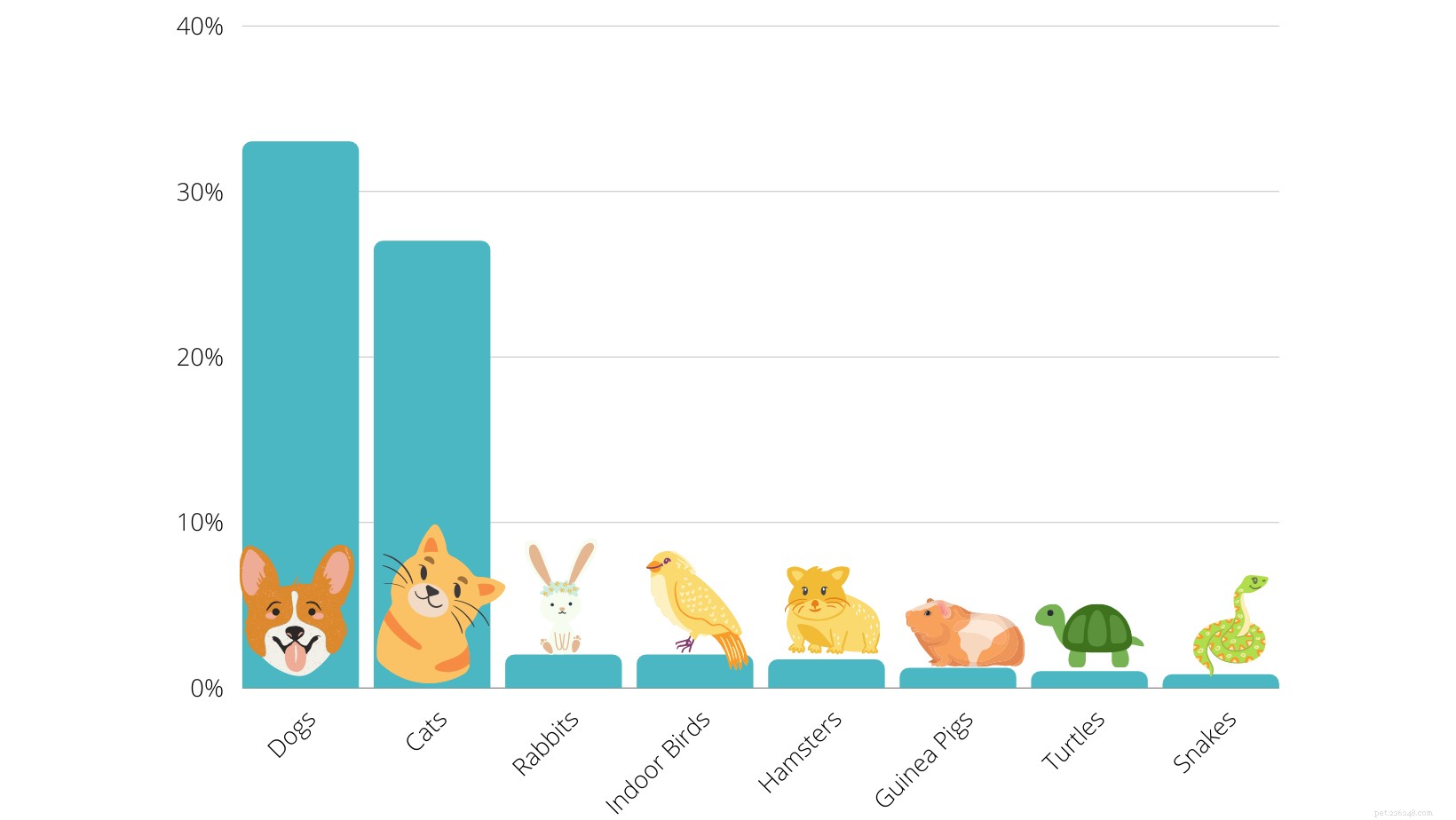 Dog Owner Demographics: Key Insights into Pet Ownership Trends