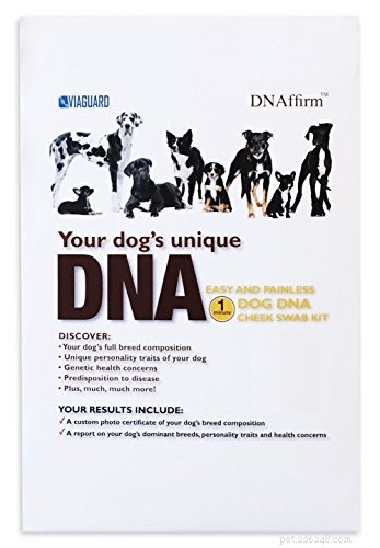 Top 5 Reliable Dog DNA Tests for Accurate Breed & Health Insights