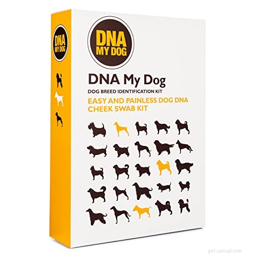 Top 5 Reliable Dog DNA Tests for Accurate Breed & Health Insights