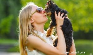 Top 20 Toy Dog Breeds: Small, Friendly, Low‑Bark Companions