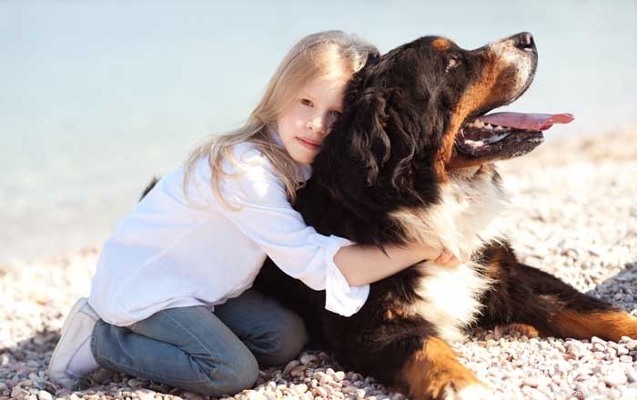 16 Family-Friendly Dog Breeds Perfect for Homes with Kids