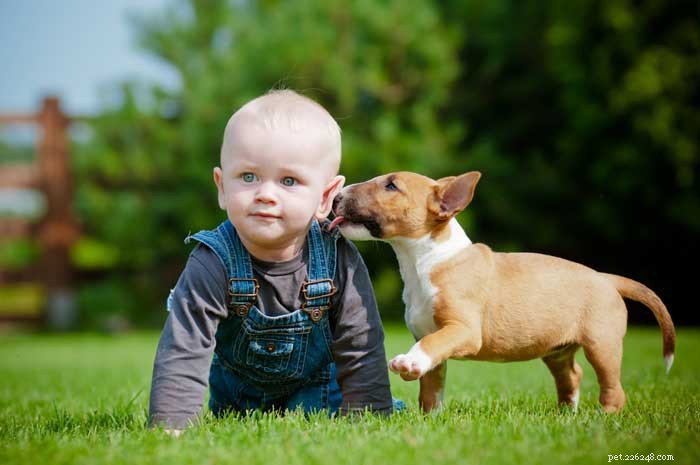 16 Family-Friendly Dog Breeds Perfect for Homes with Kids