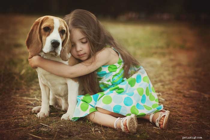 16 Family-Friendly Dog Breeds Perfect for Homes with Kids