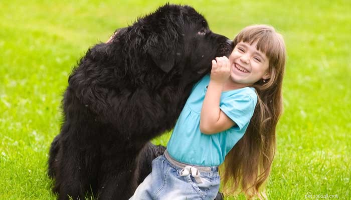 16 Family-Friendly Dog Breeds Perfect for Homes with Kids