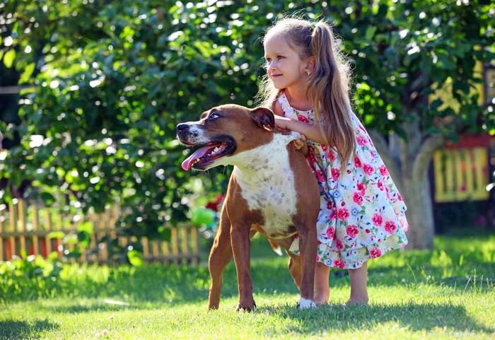 16 Family-Friendly Dog Breeds Perfect for Homes with Kids