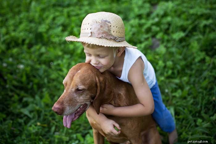 16 Family-Friendly Dog Breeds Perfect for Homes with Kids
