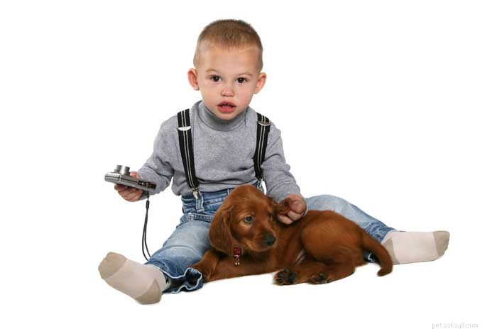 16 Family-Friendly Dog Breeds Perfect for Homes with Kids