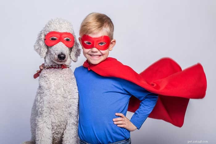 16 Family-Friendly Dog Breeds Perfect for Homes with Kids