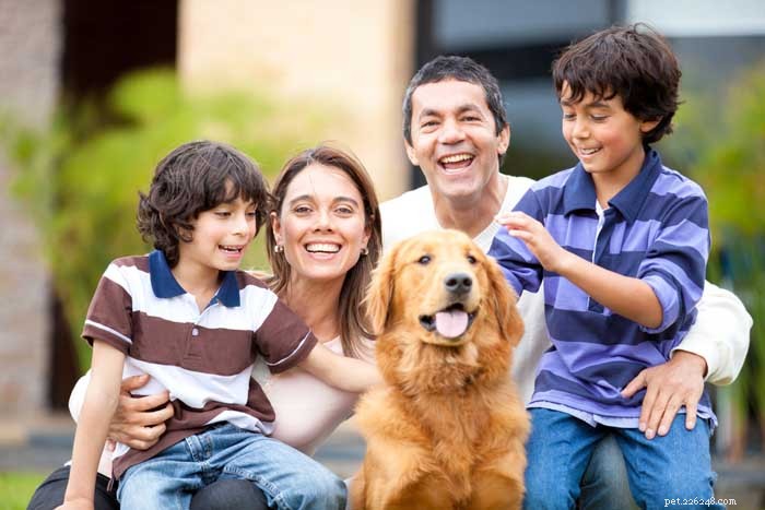 16 Family-Friendly Dog Breeds Perfect for Homes with Kids