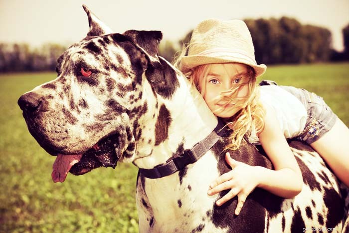 16 Family-Friendly Dog Breeds Perfect for Homes with Kids