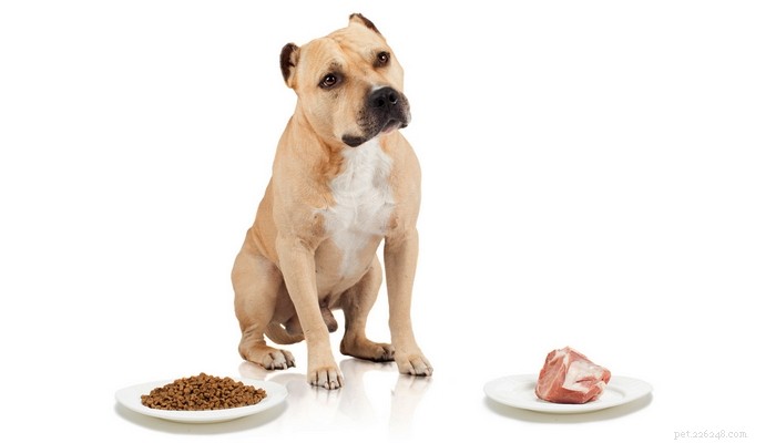 Healthy Muscle Building for Pit Bulls: A Comprehensive Guide