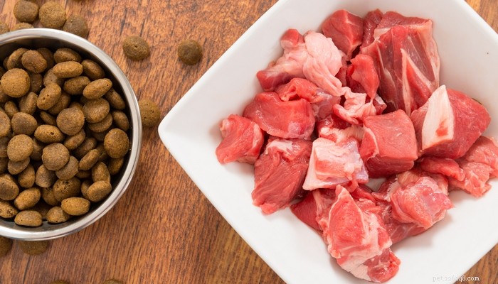 Healthy Muscle Building for Pit Bulls: A Comprehensive Guide