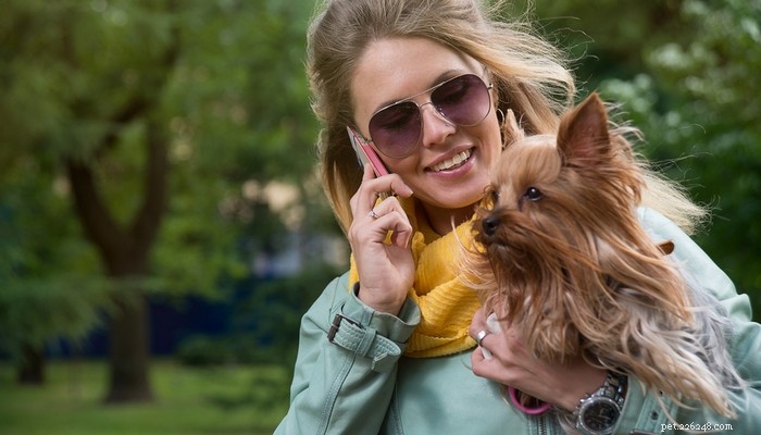 Choosing the Right Dog: A Guide to Matching Breeds with Your Living Situation