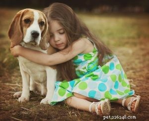 Choosing the Right Dog: A Guide to Matching Breeds with Your Living Situation