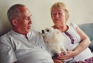 Choosing the Right Dog: A Guide to Matching Breeds with Your Living Situation