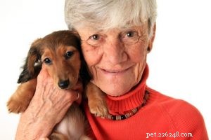 Choosing the Right Dog: A Guide to Matching Breeds with Your Living Situation