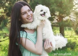 Choosing the Right Dog: A Guide to Matching Breeds with Your Living Situation