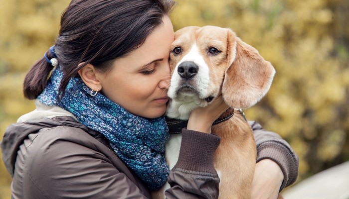 Choosing the Right Dog: A Guide to Matching Breeds with Your Living Situation