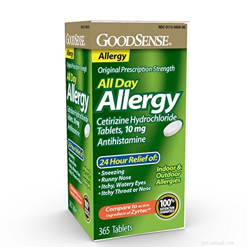 Top 10 Hypoallergenic Dog Breeds for Allergy Sufferers