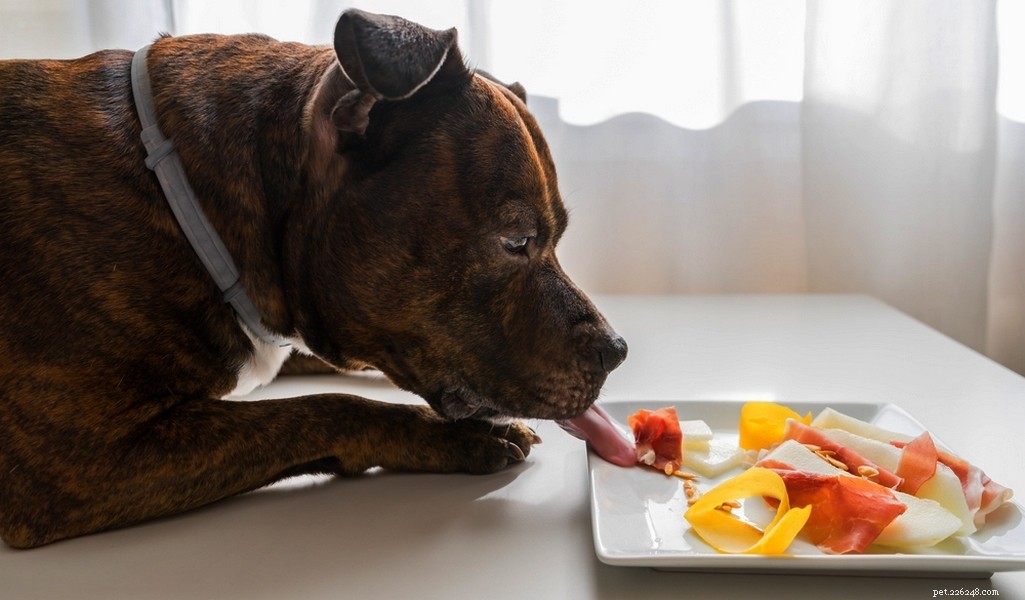 Staffordshire Bull Terrier: Traits, Temperament, and Care Guide