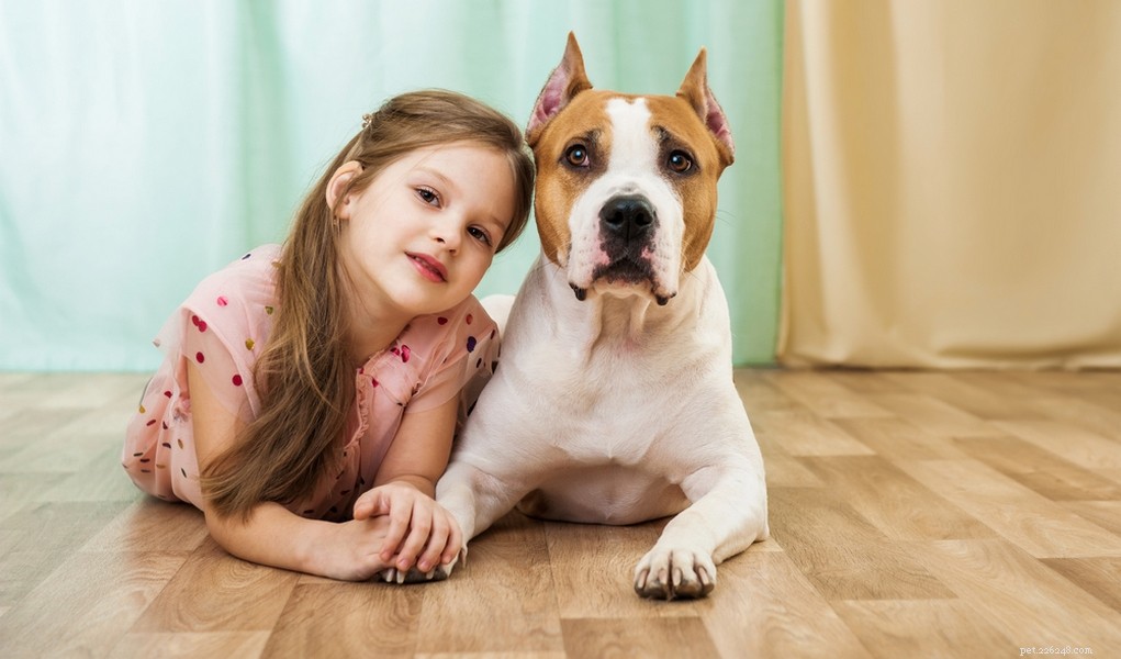 Pit Bulls and the Nanny Dog Myth: Separating Fact from Fiction