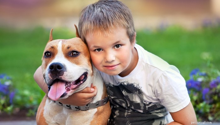 Pit Bulls and the Nanny Dog Myth: Separating Fact from Fiction