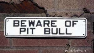 Pit Bulls and the Nanny Dog Myth: Separating Fact from Fiction