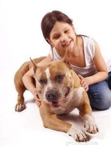 Pit Bulls and the Nanny Dog Myth: Separating Fact from Fiction