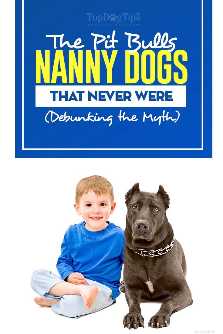 Pit Bulls and the Nanny Dog Myth: Separating Fact from Fiction