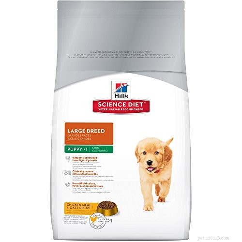 Vet-Approved Rottweiler Dog Food: 5 Top Brands for Optimal Health