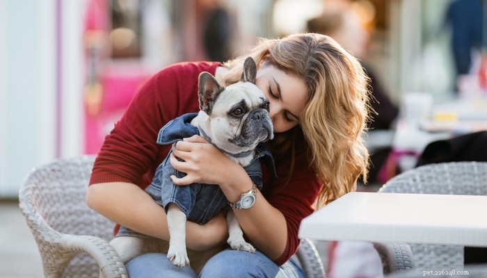 Top 4 Dog Breeds Requiring the Highest Care, Maintenance, and Expenses
