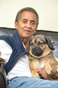Puggle Dog Breed: Characteristics, Care, and Celebrity Favorites