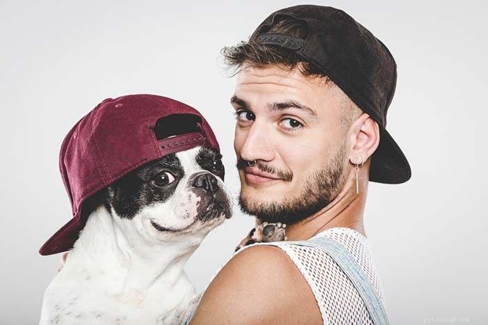 Top 20 Friendliest Dog Breeds Worldwide