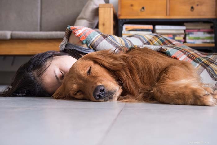 Top Dog Breeds for Emotional Support