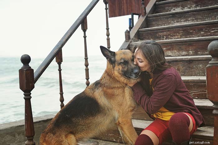 Top Dog Breeds for Emotional Support