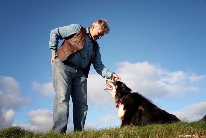 Top Dog Breeds for Emotional Support