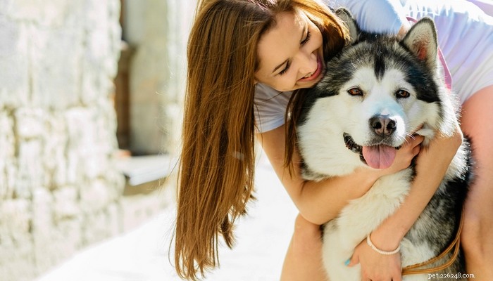 20 Dog Breeds with Feminine Charm Loved by Women and Men