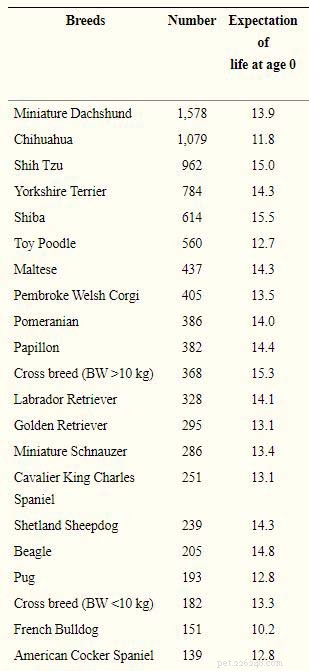 20 Dog Breeds with the Shortest Lifespans – Research-Backed Insights