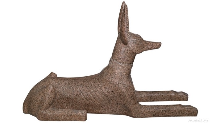 30 Vanished Dog Breeds: The History Behind Their Disappearance