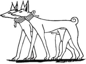 30 Vanished Dog Breeds: The History Behind Their Disappearance