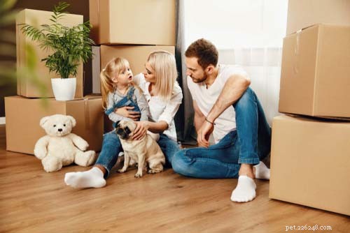 Top 7 Dog-Friendly Home Insurance Providers for Peace of Mind