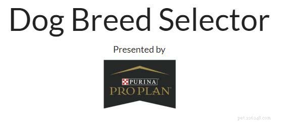 Top 4 Dog Breed Quiz Sites to Find Your Perfect Match
