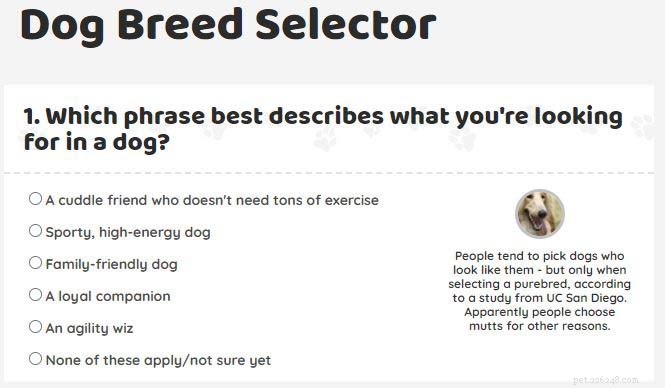 Top 4 Dog Breed Quiz Sites to Find Your Perfect Match