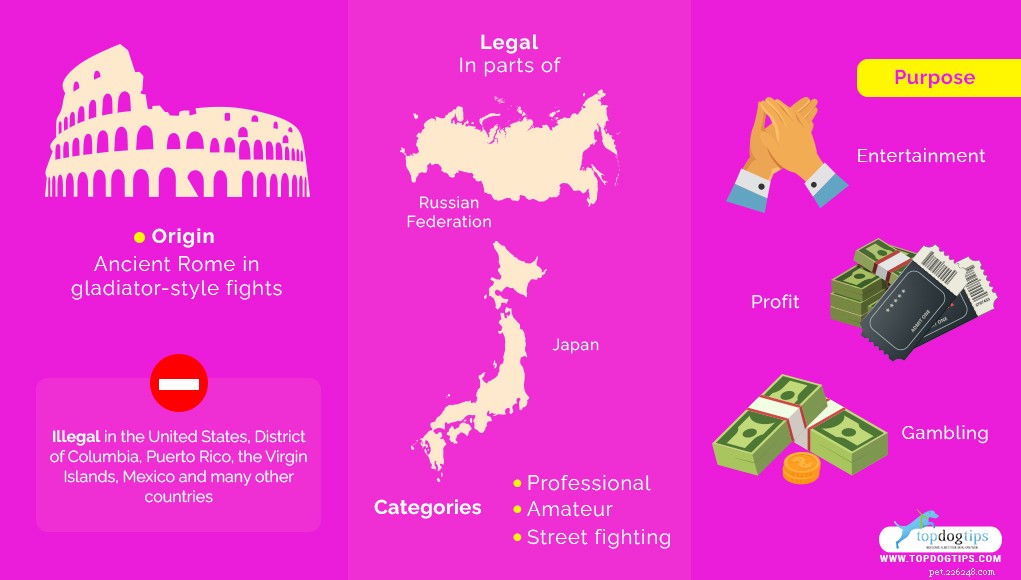 Dog Breeds Commonly Misused in Illegal Dogfighting: An In-Depth Overview